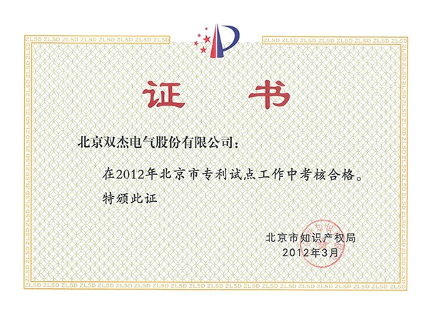 专利试点单元